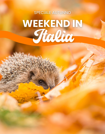 Offerta Week end italia