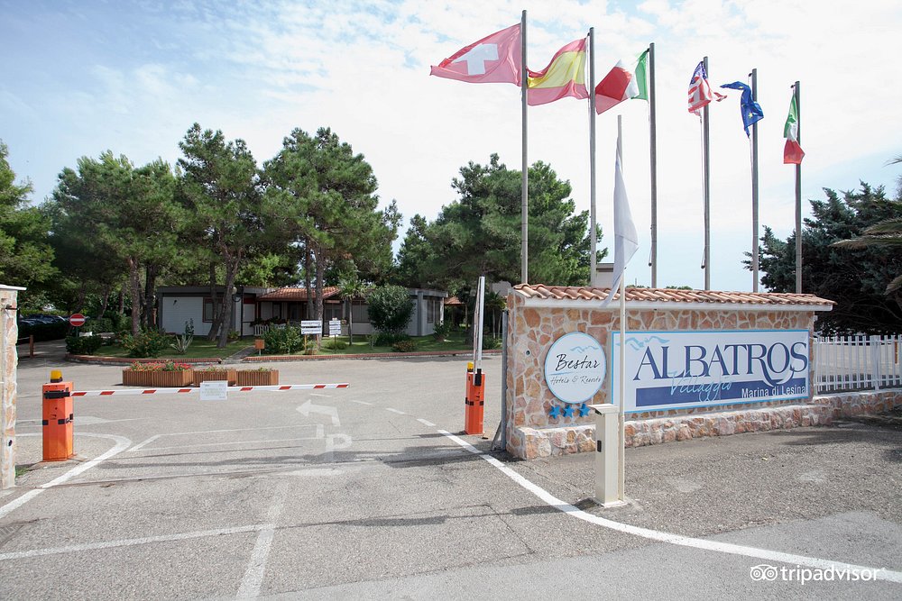 entrance--v9093195.jpg